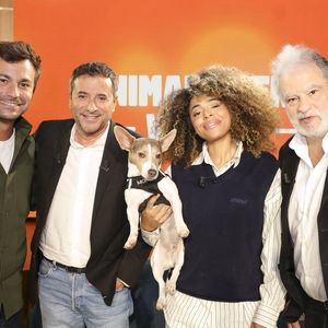 Un nouveau numéro est diffusé le dimanche 25 janvier avec plusieurs invités de marque.

Bertrand Chameroy, Bernard Montiel, Oli et son chien Monday et Raphaël Mezrahi sur plateau de l'émission "Animalement Vôtre" présentée par B.Montiel et diffusée le 25 janvier 2026 sur France 3, à Paris, France, le 3 décembre 2025. © Jack Tribeca/Bestimage
