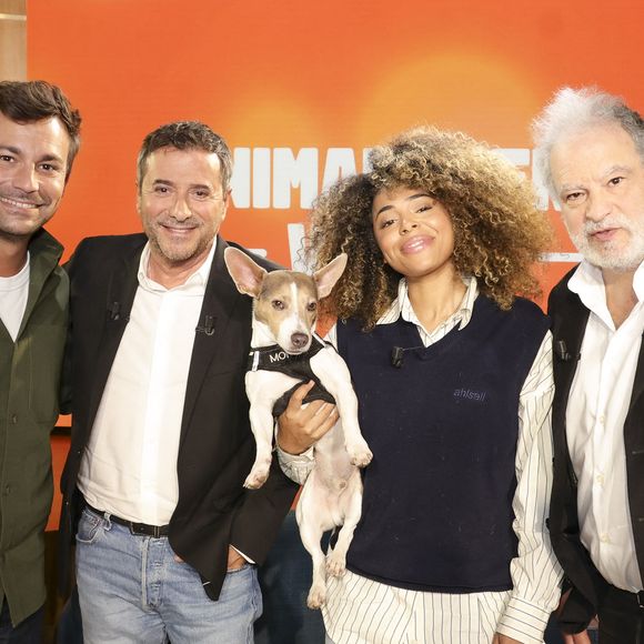 Un nouveau numéro est diffusé le dimanche 25 janvier avec plusieurs invités de marque.

Bertrand Chameroy, Bernard Montiel, Oli et son chien Monday et Raphaël Mezrahi sur plateau de l'émission "Animalement Vôtre" présentée par B.Montiel et diffusée le 25 janvier 2026 sur France 3, à Paris, France, le 3 décembre 2025. © Jack Tribeca/Bestimage
