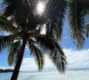 "Un lagon couleur menthe à l’eau, du soleil, des potes pour partager de bons repas ou la bière locale et des paysages magnifiques", a-t-il écrit en légende avant d’ajouter, non sans humour : "Sinon, c’est quand la rentrée ?"

Bixente Lizarazu partage des photos de ses vacances en Polynésie française dimanche 24 août 2025 © Instagram