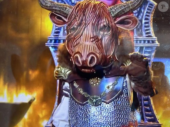 Deuxième” et le drapeau de la Suède sont également des indices. Il n’a jamais participé à l’Eurovision. Laurent Ruquier a pensé à Amir et Bruno Pelletier, et Kev Adams à Roch Voisine. 


Le Bison, Deuxième prime de "Mask Singer", capture d'écran TF1