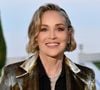"Je dois faire attention, tout le temps, à vie" : Sharon Stone évoque son état