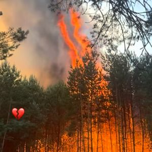 Très émue, elle a écrit : "Que la lumière soit plus forte que les flammes. Courage aux pompiers, force et prière".

Extrait du compte Instagram de Laura Smet.

© Instagram / Laura Smet