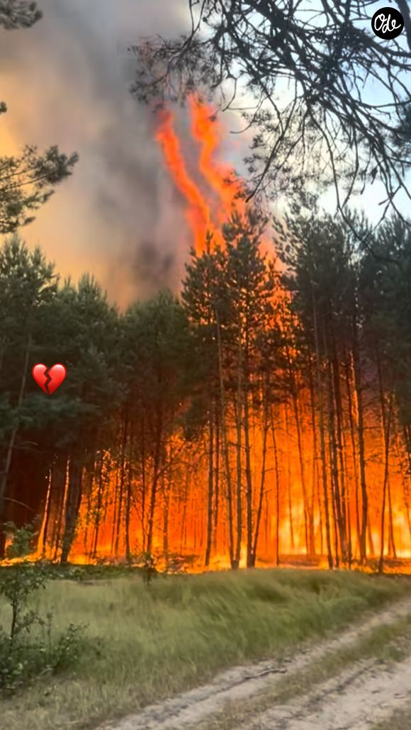 Très émue, elle a écrit : "Que la lumière soit plus forte que les flammes. Courage aux pompiers, force et prière".

Extrait du compte Instagram de Laura Smet.

© Instagram / Laura Smet