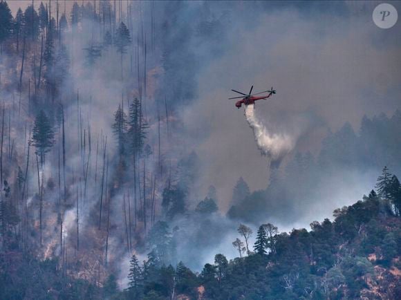 Incendie dans la forêt nationale de Shasta Trinity, Californie, Etats-Unis © Usfs/Planet Pix/Zuma Press/Bestimage