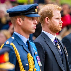 Les princes Harry et William


Pictured: Prince Harry