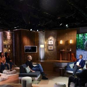 Exclusif - Bernard Werber, sur plateau de la nouvelle émission "Animalement Vôtre" présentée par Bernard Montiel et diffusée le 9 novembre sur France 3, à Paris, France, le 13 octobre 2025. © Jack Tribeca/Bestimage