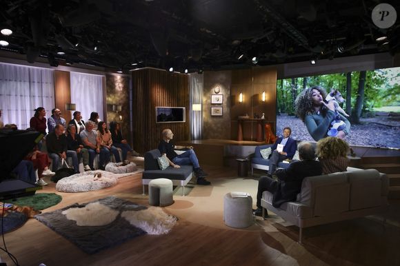 Exclusif - Bernard Werber, sur plateau de la nouvelle émission "Animalement Vôtre" présentée par Bernard Montiel et diffusée le 9 novembre sur France 3, à Paris, France, le 13 octobre 2025. © Jack Tribeca/Bestimage