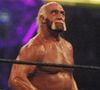 Avec six titres WWE et six titres WCW, il a marqué à jamais l’histoire du catch.

Rétro - Décès de Hulk Hogan star du catch - La légende du catch Hulk Hogan ne sentirait plus le bas de son corps après une opération du dos. Il serait contraint de se déplacer à l'aide d'une canne. C'est en tous cas ce qu'a déclaré Kurt Angle dans son podcast.
Backgrid USA / Bestimage