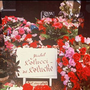 ARCHIVES - LA TOMBE DE COLUCHE