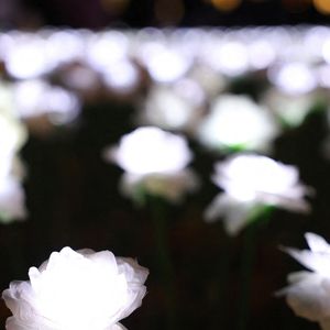 La princesse de Galles visite le jardin Ever After à l'hôpital Royal Marsden. Le jardin est composé de 30 000 roses illuminées que les membres du public peuvent dédier à un membre de leur famille en soutien à la Royal Marsden Cancer Charity à Londres, Angleterre, Royaume-Uni, le 13 décembre 2025. Photo by Toby Shepheard/Kensington Palace/Avalon/ABACAPRESS.COM