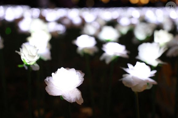 La princesse de Galles visite le jardin Ever After à l'hôpital Royal Marsden. Le jardin est composé de 30 000 roses illuminées que les membres du public peuvent dédier à un membre de leur famille en soutien à la Royal Marsden Cancer Charity à Londres, Angleterre, Royaume-Uni, le 13 décembre 2025. Photo by Toby Shepheard/Kensington Palace/Avalon/ABACAPRESS.COM