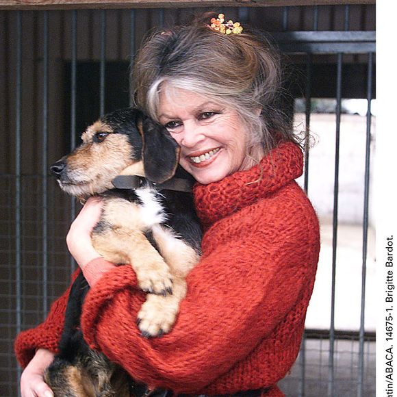 Ces attaques concernent principalement la gestion de la structure et du fonctionnement interne de la Fondation Brigitte Bardot...

© Nice Matin/ABACA. 14675-2. Brigitte Bardot.