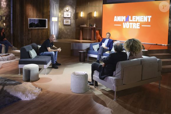 Exclusif - Bernard Werber, sur plateau de la nouvelle émission "Animalement Vôtre" présentée par Bernard Montiel et diffusée le 9 novembre sur France 3, à Paris, France, le 13 octobre 2025. © Jack Tribeca/Bestimage