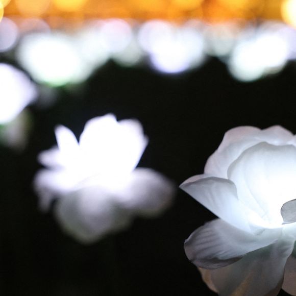 La princesse de Galles visite le jardin Ever After à l'hôpital Royal Marsden. Le jardin est composé de 30 000 roses illuminées que les membres du public peuvent dédier à un membre de leur famille en soutien à la Royal Marsden Cancer Charity à Londres, Angleterre, Royaume-Uni, le 13 décembre 2025. Photo by Toby Shepheard/Kensington Palace/Avalon/ABACAPRESS.COM