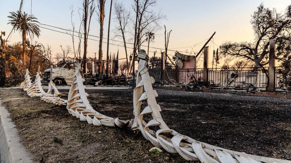 Incendies à Los Angeles: le quartier de Pacific Palisades et Altadena ravagés par les incendies, le 10 janvier 2025 © Amy Katz/ZUMA Press Wire)