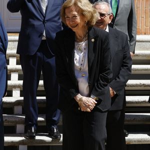 Mais Felipe VI ne pouvait pas espérer mieux à son bras pour accueillir les responsables de la Fédération espagnole des banques alimentaires : la reine Sofia, très engagée contre la pauvreté, contribue depuis longtemps avec sa fondation à l'activité de cette fédération. 

Le roi d'Espagne Felipe VI et la reine émérite Sofia lors d'une audience avec le Comité exécutif de la FESBAL à Madrid, Espagne, le 18 juillet 2025. GTres/ABACAPRESS.COM