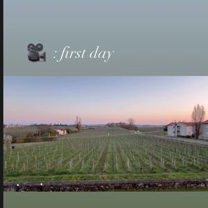 Anthony Delon, Instagram