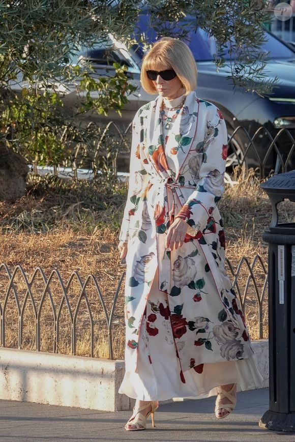 À 75 ans, elle conserve ses fonctions stratégiques chez Condé Nast et à l’international.

Anna Wintour et Isabella Rossellini ont été aperçues arrivant ensemble au défilé de mode D&G à Rome. Les deux icônes de style formaient un duo marquant lors de cet événement exclusif, le 14 juillet 2025. @Backgrid UK/ Bestimage