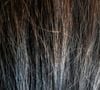 "Porter des cheveux gris ne veut pas dire qu’il ne faut plus rien faire", rappelle en substance l’experte, qui insiste sur l’importance d’adapter sa routine aux besoins de sa chevelure

Fethi Bouhahouchine /Unsplash