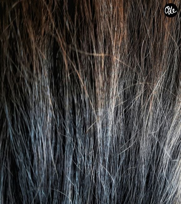 "Porter des cheveux gris ne veut pas dire qu’il ne faut plus rien faire", rappelle en substance l’experte, qui insiste sur l’importance d’adapter sa routine aux besoins de sa chevelure

Fethi Bouhahouchine /Unsplash