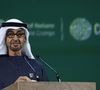 La transaction a été très rapide, puisque le domaine a trouvé preneur seulement quatre mois après sa mise en vente officielle.

Mohammed ben Zayed Al Nahyane, président des Emirats arabes unis - Ouverture du Sommet mondial d'action pour le climat à Dubaï (Cop28 / 30 novembre - 12 décembre 2023), le 30 novembre 2023.
PA Photo/ Bestimage