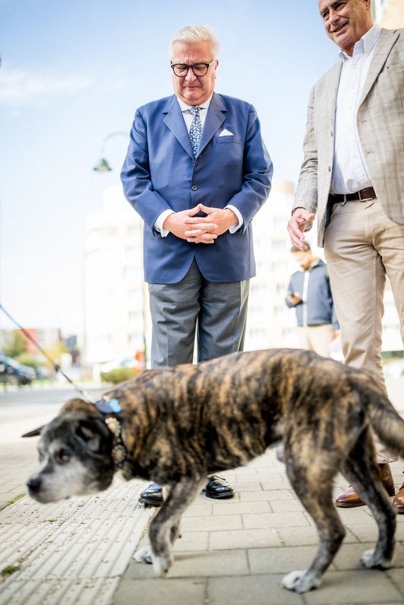 Le Prince Laurent de Belgique photographié lors de l'inauguration officielle d'un nouveau dispensaire pour animaux de compagnie par la Fondation Prince Laurent et la Ville de Bruxelles, à Bruxelles, le lundi 29 septembre 2025. ©ABACAPRESS.COM