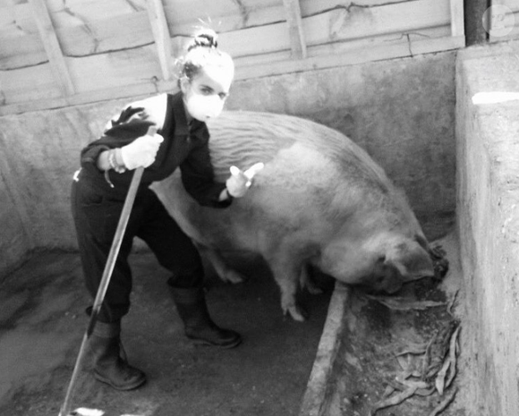 Ael Pagny en plein nettoyage de l'enclos à cochons, photo publiée le 8 août 2019.