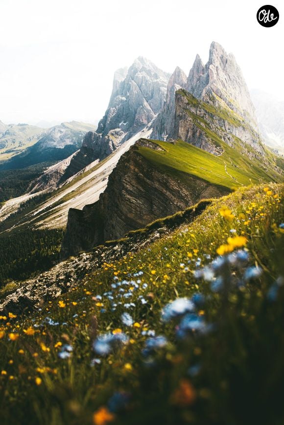 Unsplash / Licence gratuite