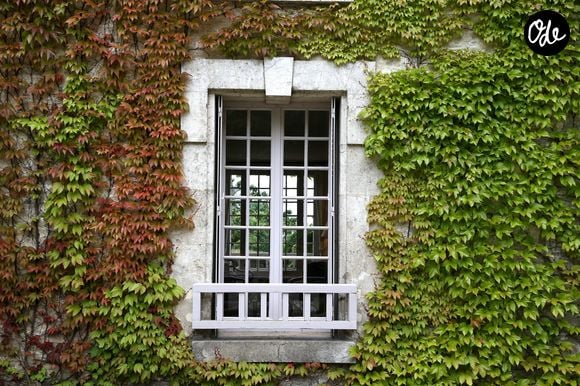 Ouverte au public depuis 1980, La Boisserie conserve encore de nombreux espaces privés, notamment la chambre du Général et d’Yvonne de Gaulle.

Illustration - La Boisserie, résidence personnelle du général Charles de Gaulle à Colombey-les-Deux-Églises, en Haute-Marne, est un musée ouvert au public dont le propriétaire est son fils, l'amiral Philippe de Gaulle. Colombey-les-Deux-Églises, le 18 juin 2016