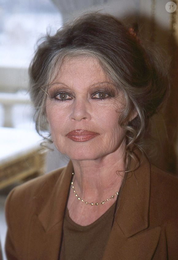Brigitte Bardot est décédée à l'âge de 91 ans. Photo par JLPPA / Bestimage