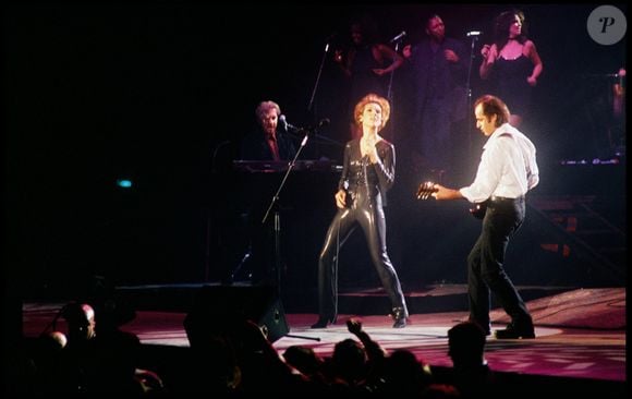 Archives Celine Dion sur scène avec Jean-Jacques Goldman  - Concert de Céline Dion - Bercy.