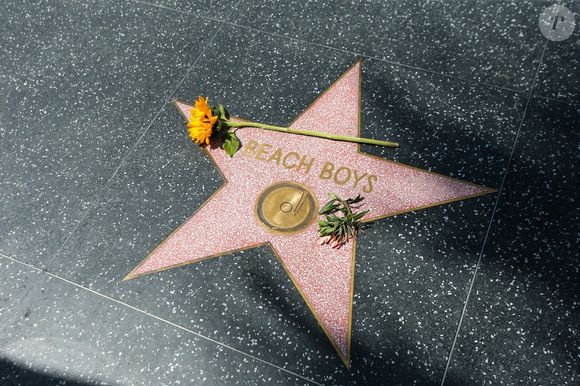 Son nom apparaîtra bientôt sur Hollywood Boulevard !

Hollywood Boulevard à Los Angeles, le 11 juin 2025.

Photo : Backgrid USA / Bestimage