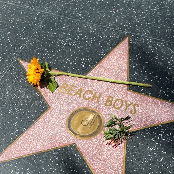 Son nom apparaîtra bientôt sur Hollywood Boulevard !

Hollywood Boulevard à Los Angeles, le 11 juin 2025.

Photo : Backgrid USA / Bestimage