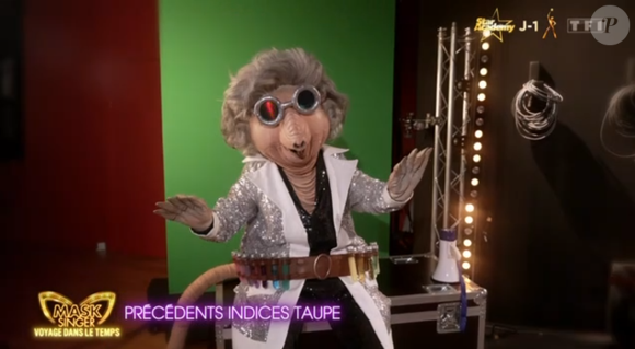 "On a été super complice, on a pris beaucoup de plaisir, il y a eu beaucoup de travaille et moi je suis très fière d'elle"

La Taupe de Mask Singer 8, capture d'écran TF1