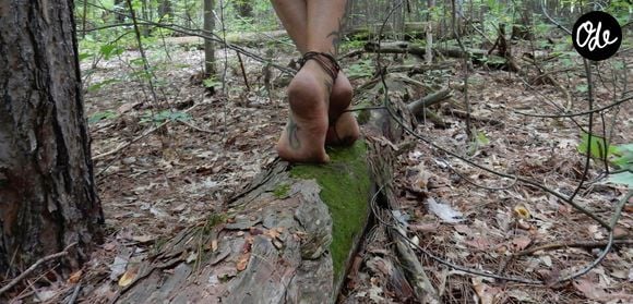 Les pieds jouent un rôle important dans les informations tactiles et la proprioception.

Photo prise par Timi / Unsplash