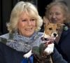 En novembre, la belle-mère des princes William et Harry a malheureusement perdu Beth, sa chienne "bien-aimée" qu'elle avait adopté en 2011 dans le refuge londonien Battersea Dogs and Cats Home.

Camilla Parker Bowles, duchesse de Cornouailles, visite le chenil "Battersea Dogs & Cats Home" a Londres. Le 12 decembre 2012.