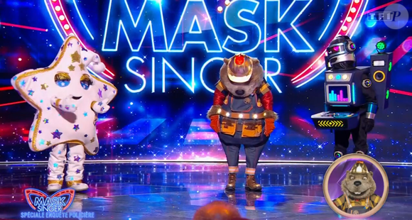 Le Castor dans Mask Singer, capture d'écran TF1