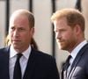 Harry et William sont à nouveau réunis dans le chagrin, après la perte d'un être cher.
Le prince de Galles William, le prince Harry, duc de Sussex à la rencontre de la foule devant le château de Windsor, suite au décès de la reine Elisabeth II d'Angleterre. AGENCE / BESTIMAGE