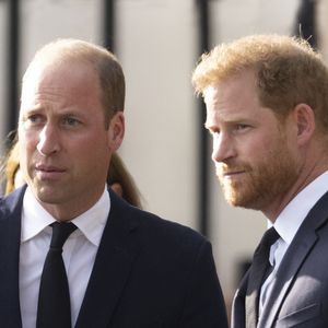Harry et William sont à nouveau réunis dans le chagrin, après la perte d'un être cher.

Le prince de Galles William, le prince Harry, duc de Sussex à la rencontre de la foule devant le château de Windsor, suite au décès de la reine Elisabeth II d'Angleterre. AGENCE / BESTIMAGE