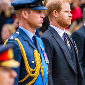 Archives : Le prince Harry, duc de Sussex et le prince William