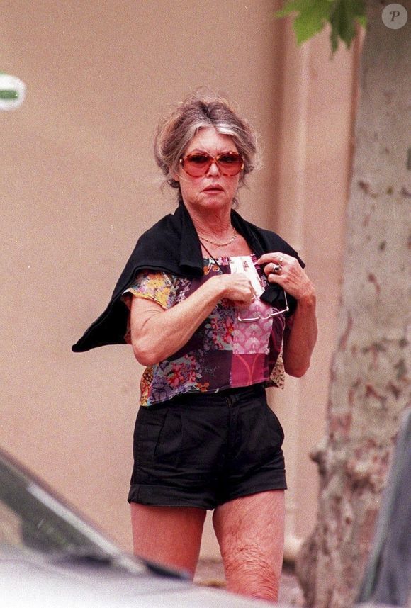 Portrait de Brigitte Bardot

Crédit : Backgrid UK/ Bestimage