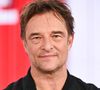 Exclusif - David Hallyday - Enregistrement de l'émission "Vivement Dimanche", présentée par M.Drucker
© Guillaume Gaffiot / Bestimage