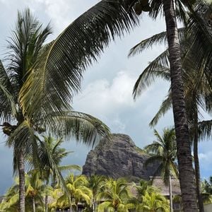 Elle profite de ce séjour avec son compagnon, tout en restant très active dans la vie monégasque et associative (Be Safe Monaco).

Camille Gottlieb a partagé des images de son séjour paradisiaque sur l'Île Maurice. Capture d'écran Instagram