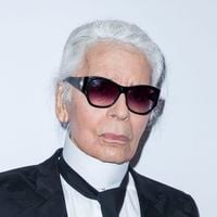 Karl Lagerfeld : Voici sa bibliothèque parisienne qui possède plus de 30 000 livres, leur organisation est originale