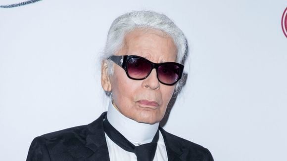 Karl Lagerfeld : Voici sa bibliothèque parisienne qui possède plus de 30 000 livres, leur organisation est originale