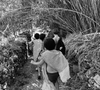 Au programme, criques d'eau translucide et plongeon depuis les rochers.

Léa Salamé en vacances en Corse avec famille et amis.