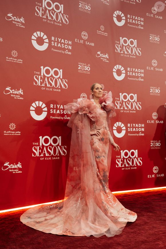 Un hommage national lui a été rendu à Montréal, et la chanteuse a rendu hommage à son ami.

Celine Dion au photocall du défilé anniversaire Elie Saab "1001 Seasons of Elie Saab" à l'espace "The Venue" à Riyad, Arabie saoudite le 13 novembre 2024
© Tiziano Da Silva / Bestimage
