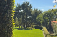 Meghan Markle dévoile le jardin de sa maison et laisse apercevoir Lilibet et sa grand-mère Doria dans la piscine.