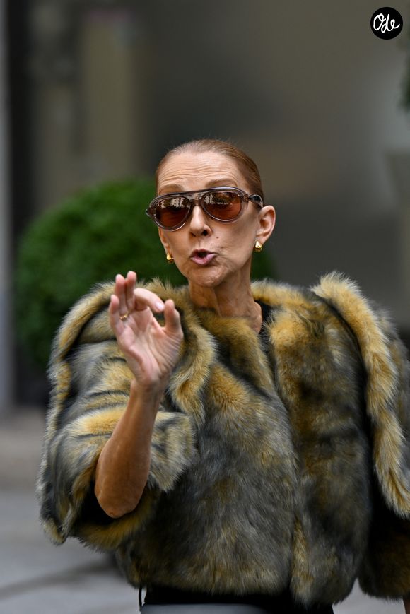 Céline Dion acclamée par ses fans à la sortie de l’hôtel Royal Monceau à Paris, avant de se rendre à la Plenitude Arena de Paris La Défense, pour sa troisième date de concert, le 16 septembre 2026. © Lionel Urman/Bestimage