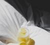 Par exemple : l'alliance entre écorces de citron et bicarbonate fait des miracles pour l'entretien maison.